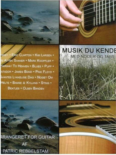 Den store guitarbog